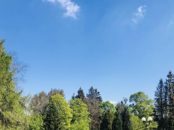 C:\fakepath\Zahrada Mai