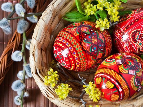 Saisonales Speisenangebot