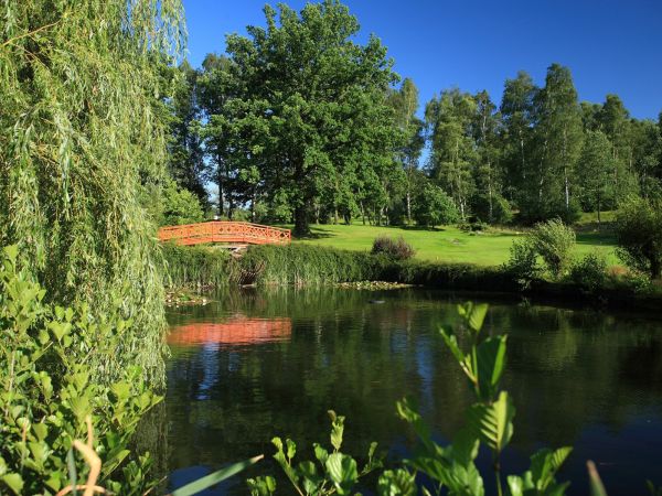 Green beim Teich