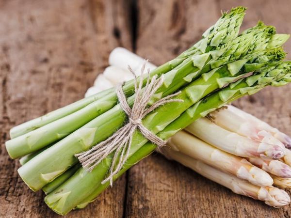 Sezónní nabídka jídel