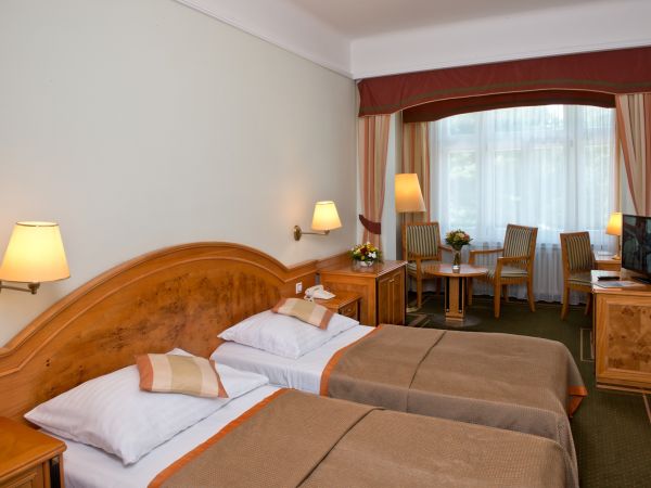 Double room twin bed