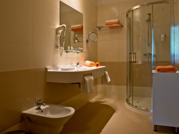 Double room bath shower