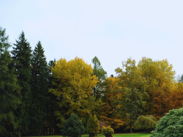 Herbst in Marienbad